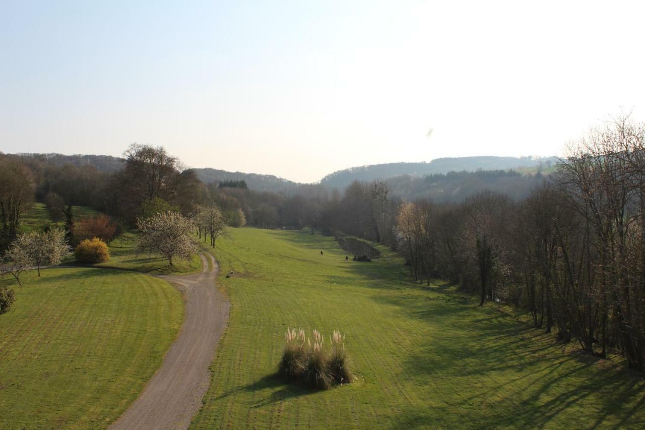 Chateau De La Lucaziere Mont-Saint-Jean  Buitenkant foto